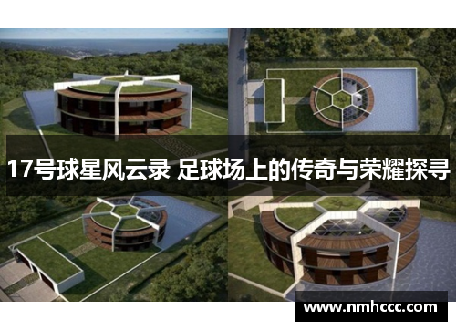 17号球星风云录 足球场上的传奇与荣耀探寻